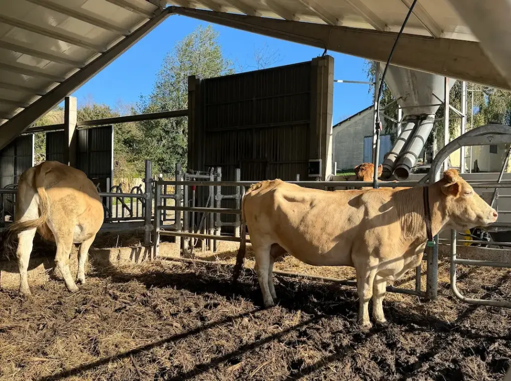 Instalaciones ganaderas cubiertas para cuidado animal