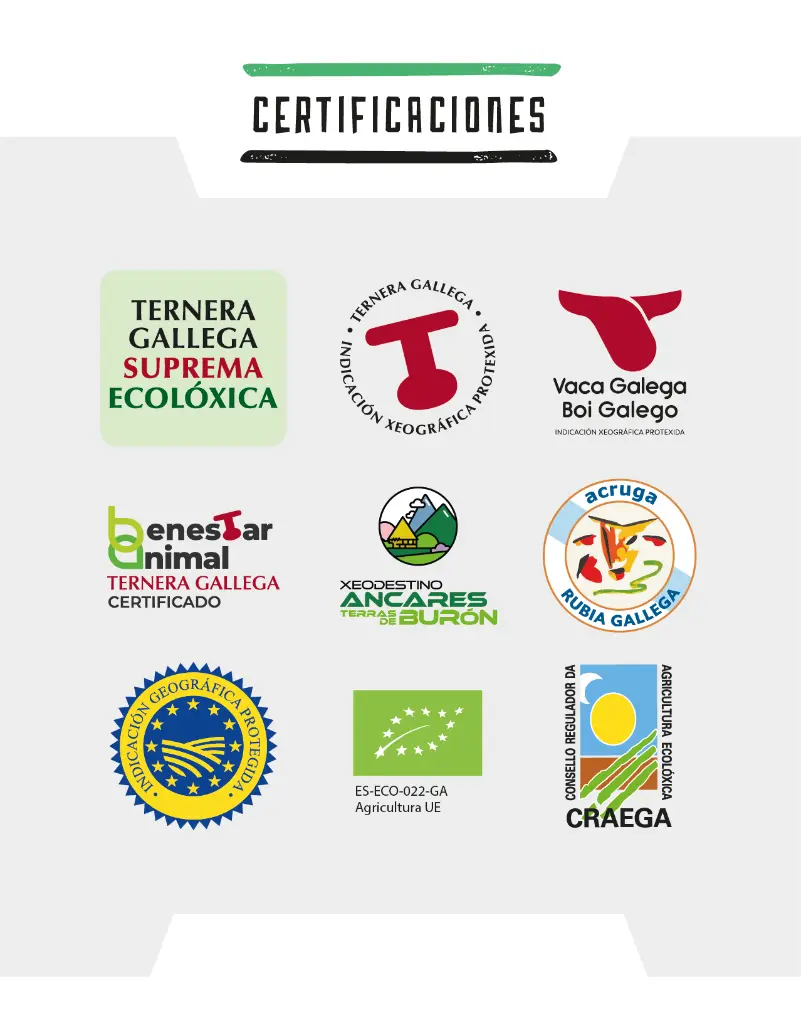TIPS_CERTIFICACIONES.webp