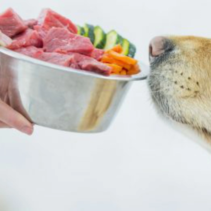 Recortes de carne para mascotas