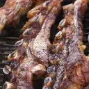 Churrasco ecológica