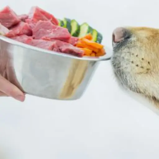 Recortes de carne para mascotas